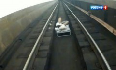 Скончался мужчина, упавший сегодня на рельсы в московском метро