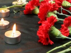 14 ноября в Подмосковье объявлено днем траура