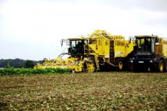 Уборка сельхозкультур на Кубани близится к завершению