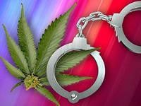 Донские полицейские обнаружили тайник с 4 кг марихуаны