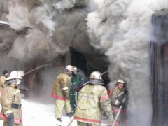 В Томской области на пепелище птицефабрики обнаружены тела погибших