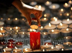 В Волгоградской области объявлен траур по погибшим в результате теракта
