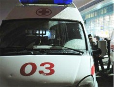 В Краснодаре водитель скорой помощи зарезал дворняжку, мешавшую ему спать