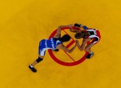 Сочи стал хозяином ЧЕ-2017 года по спортивной борьбе