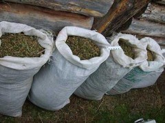 В Новороссийске у безработного мужчины изъяли 14 кг марихуаны