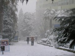 Штормовое предупреждение из-за снегопада объявлено в Сочи