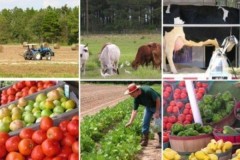В КБР в 2016 году сельхозпроизводство увеличилось на 5,7%