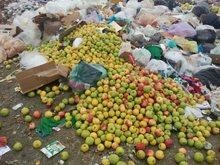 В Кореновске уничтожили 438 кг польских яблок