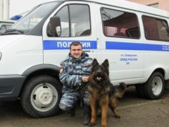 В Северском районе собака по кличке Цефа помогла полицейским найти орудие преступления