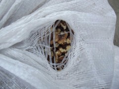 Донские пограничники пресекли контрабанду 500 кг лущеного ореха