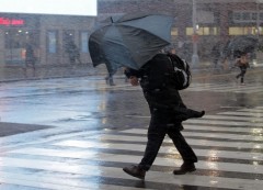 В Москве объявлено экстренное предупреждение по сильному ветру
