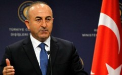 Нидерланды отозвали разрешение на посадку самолета главы МИД Турции