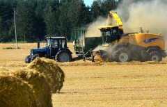 Адыгея за год увеличила объем сельхозпроизводства на 13,5%
