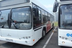 В Сочи в день матча Россия-Бельгия общественный транспорт не будет заходить в Олимпийский парк