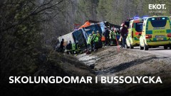 В Швеции после ДТП со школьным автобусом погибли три человека, 30 пострадали