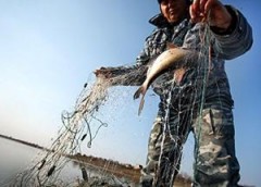 Донские сотрудники ГИБДД пресекли незаконный вылов рыбы
