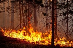 В Сибири бушуют природные пожары