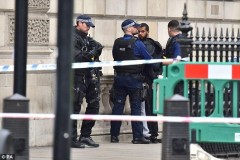 СМИ: В Лондоне исламисты планируют осуществить два теракта