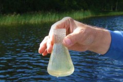 В Краснодаре проведут анализ воды в водоемах