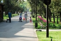 Площадь зеленых зон Краснодара увеличилась на 100 гектаров