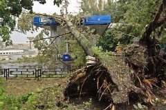 Собянин поручил ликвидировать последствия урагана в течение двух суток