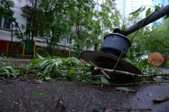 Ураган в Москве: на улице Мироновской на человека упало дерево