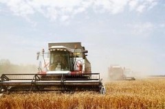Валовый сбор зерна на Кубани превысил 7,6 млн тонн