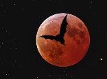 Частное затмение Луны состоится вечером 7 августа