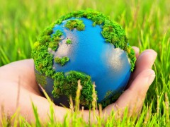 На Дону  пройдет «экологический» день приема граждан
