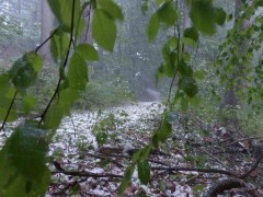 МЧС распространило экстренное предупреждение по резкому ухудшению погоды в Краснодарском крае