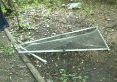 В Томске ребенок выпал из окна, оперевшись на москитную сетку