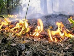 На Кубани сохраняется чрезвычайная пожароопасность
