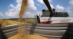 Рекордный кубанский урожай зерна обвалил цены на американскую пшеницу