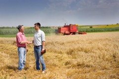 На Кубани введут индексное страхование для фермеров