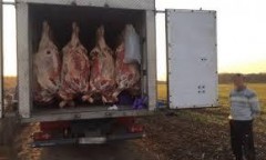 Смоленские пограничники пресекли контрабанду 4,5 тонн говядины