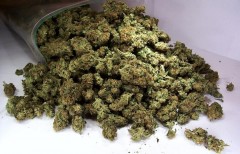 В Махачкале у 40-летнего мужчины обнаружена марихуана