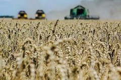 На льготное кредитование аграриев Кубани выделили 600 млн рублей