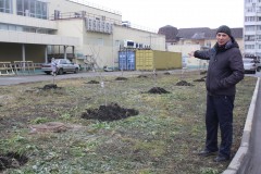 Житель Невинномысска высадил сотню деревьев на улице города