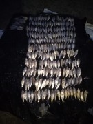 В Ейском лимане транспортные полицейские задержали рыбака-браконьера