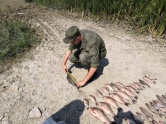Донские пограничники задержали браконьеров с уловом на 100 тысяч рублей