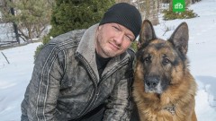 ВЦИОМ: Детектив «Пёс» оказался самым популярным у россиян