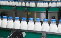 Молокозавод в Белореченском районе расширит производство
