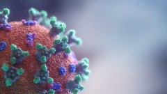 Помощь во время пандемии коронавируса: что делать, если вам или вашему близкому стало плохо?
