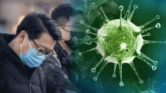 Вирусолог Лариса Попович предупредила об особом сценарии эпидемии коронавируса в России
