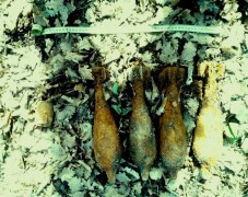 В Горячем Ключе в лесу найден и уничтожен снаряд времен Великой Отечественной войны