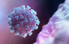 Страх перед неизвестным и предвзятость: ученые назвали главные ошибки в борьбе с пандемией коронавируса