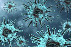 Ученые из Сингапура полагают, что в России вспышка коронавируса завершится к концу мая