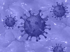 РФПИ и ХимРар представили промежуточные результаты клинического исследования эффективности препарата «Фавипиравир» против коронавируса