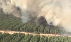 Площадь лесного пожара в Ростовской области увеличилась до 1 тыс. га