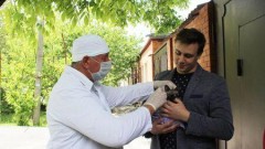 С начала года в Ростовской области привили от бешенства более 430 тысяч животных